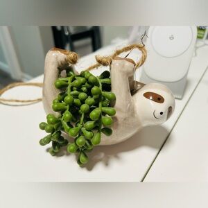Hanging Sloth Faux Succi